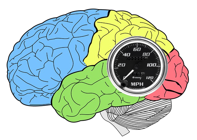Measuring consciousness