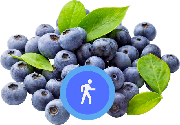 Healthful blueberries
