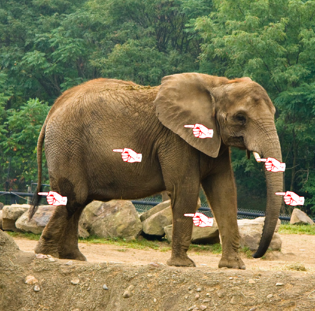 Parable of the blind men and an elephant