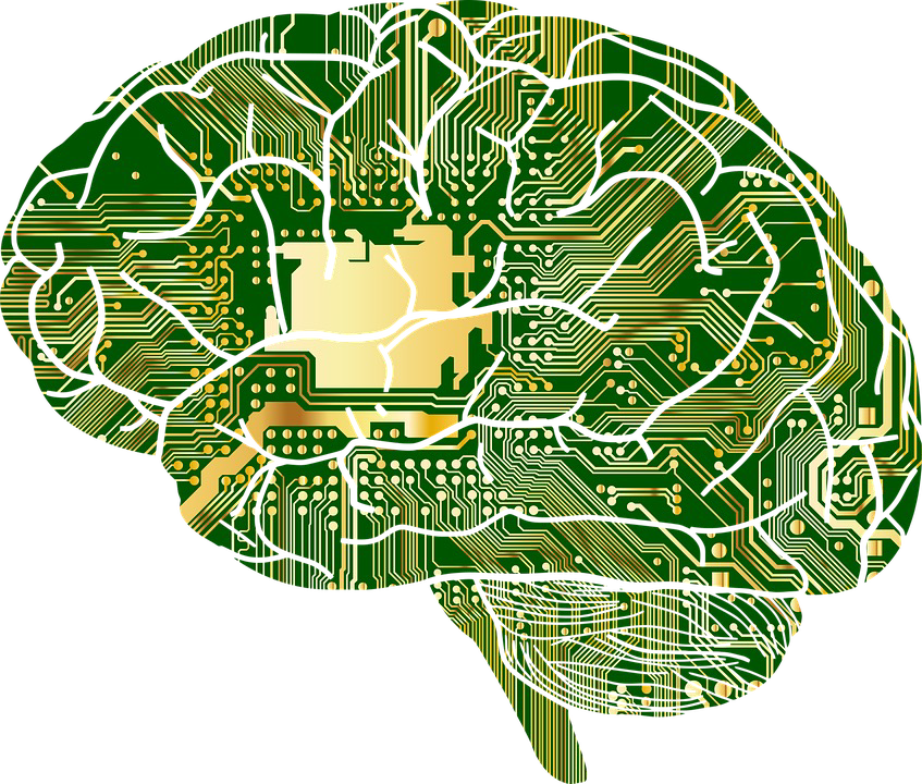 Synthetic brain