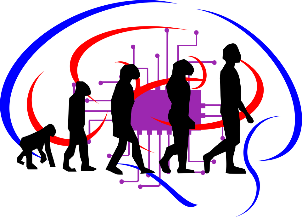 Human-AI coevolution